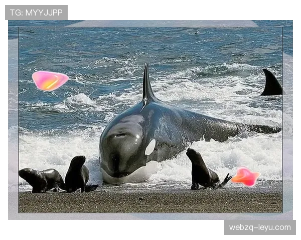 基米希无球跑动解析：幕后英雄如何以战术智慧铸就球队核心